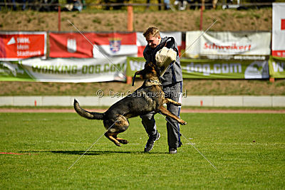 Little Joe von Trogida