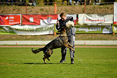 Little Joe von Trogida