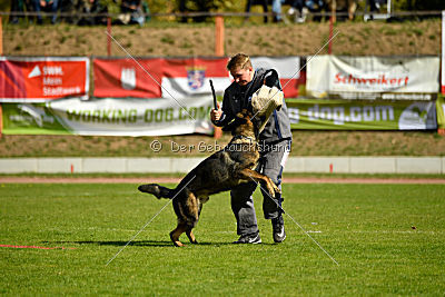 Little Joe von Trogida