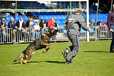 Little Joe von Trogida