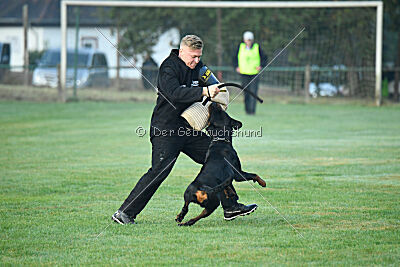 Liyan vom Schwarzen Grat