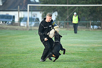 Liyan vom Schwarzen Grat