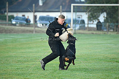 Liyan vom Schwarzen Grat