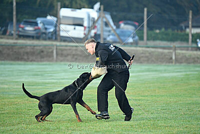 Liyan vom Schwarzen Grat