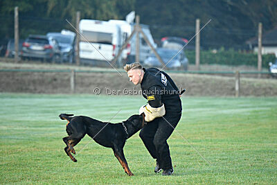 Liyan vom Schwarzen Grat