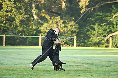 Liyan vom Schwarzen Grat