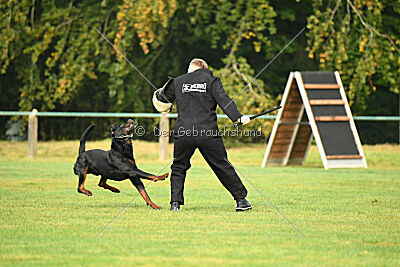 Logan vom Eisernen Kreuz