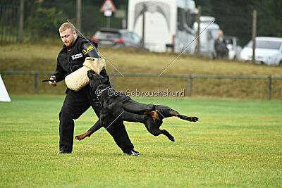 Logan vom Eisernen Kreuz