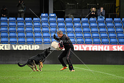 Logan von Berg Israel