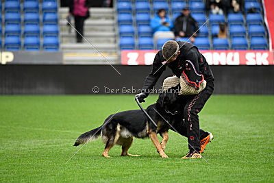 Logan von Berg Israel