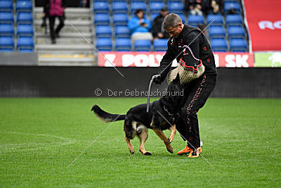 Logan von Berg Israel