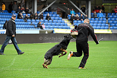 Logan von Berg Israel