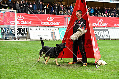 Logan von Berg Israel