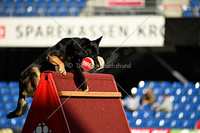 Logan von Berg Israel