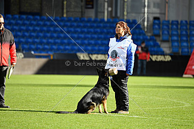 Logan von Berg Israel