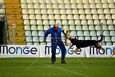 Logan von Berg Israel