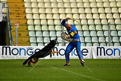 Logan von Berg Israel