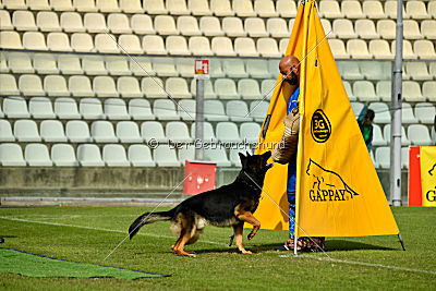 Logan von Berg Israel