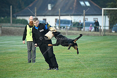 Lolita vom Hause Neubrand