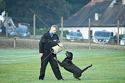 Lolita vom Hause Neubrand