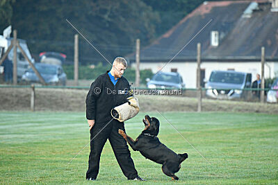 Lolita vom Hause Neubrand