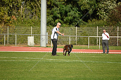 Lomme van de Hazenberg