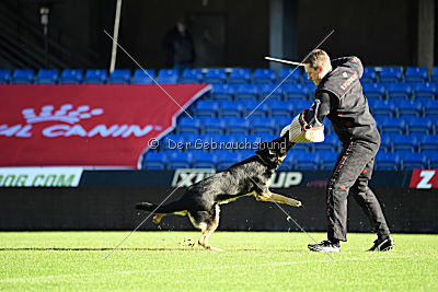 Louka von Bussardwald