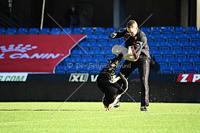 Louka von Bussardwald