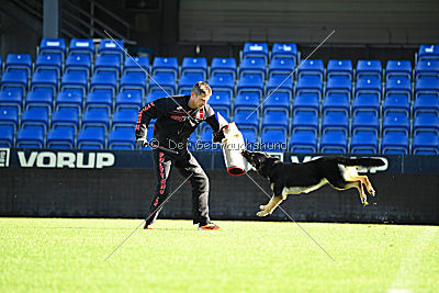 Louka von Bussardwald