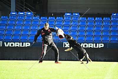 Louka von Bussardwald