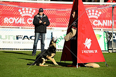 Louka von Bussardwald