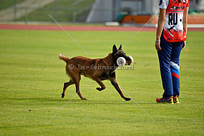 Love & Spirit Zhigan