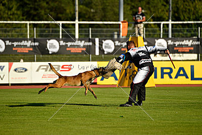 Love & Spirit Zhigan