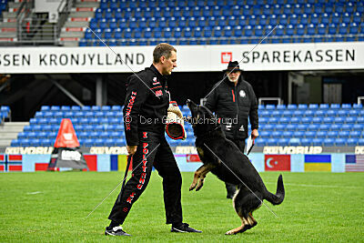 Luca von Djipy's Haus