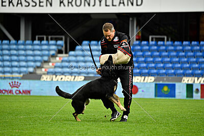 Luca von Djipy's Haus