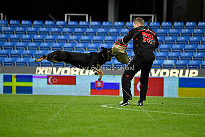 Luca von Djipy's Haus