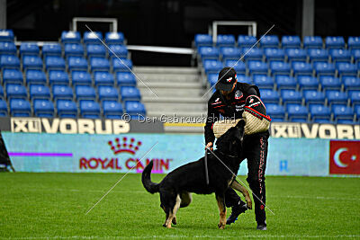 Luca von Djipy's Haus