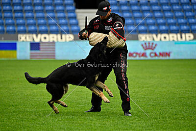 Luca von Djipy's Haus