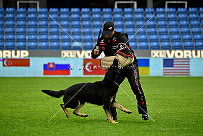 Luca von Djipy's Haus