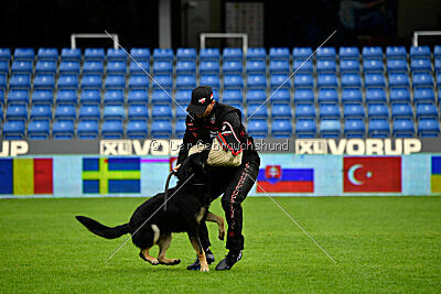 Luca von Djipy's Haus