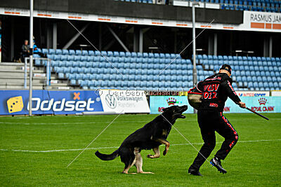 Luca von Djipy's Haus