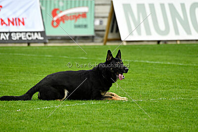 Luca von Djipy's Haus