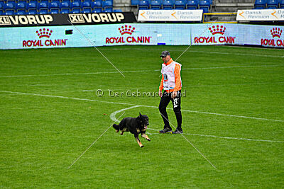 Luca von Djipy's Haus