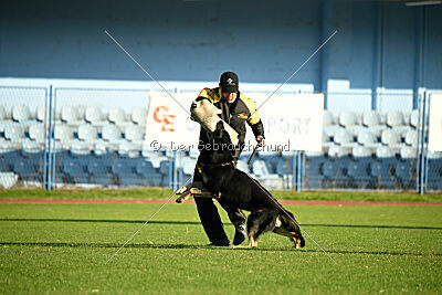 Luca von Djipys Haus