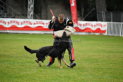 Luca von Djipy's Haus