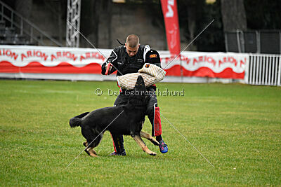 Luca von Djipy's Haus