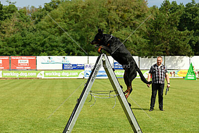 Luis vom Eisernen Kreuz