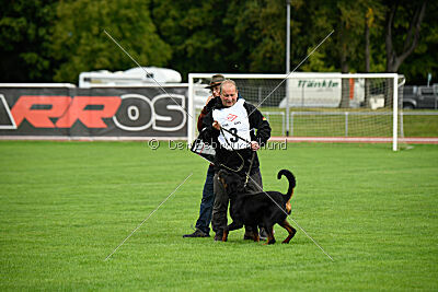 Luis vom Eisernen Kreuz