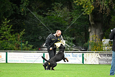 Luis von der Pulvermühle