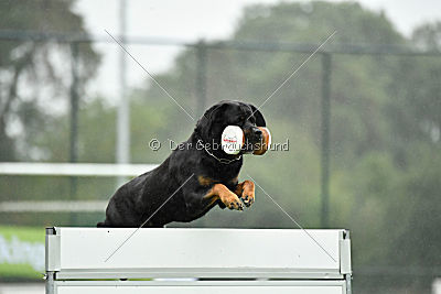 Luis von der Pulvermühle